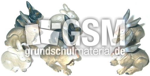 Hasen6+2.jpg